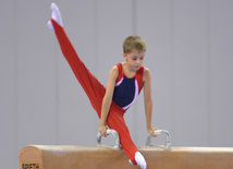 Kişi idman gimnastikası üzrə 22-ci Bakı Çempionatı və Birinciliyi. Bakı, Azərbaycan, 02 oktyabr 2015